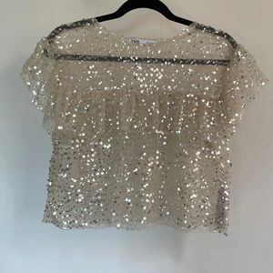 Sheer Sequin Zara Top